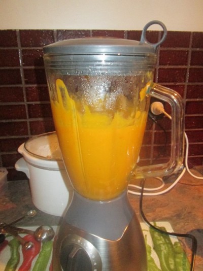 Creamy Butternut in Blender