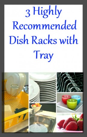 Dish Rack WIth Tray